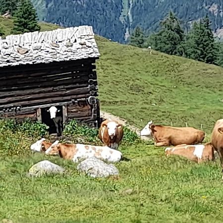 Ferienhaus Grofn Matrei in Osttirol Kültér fotó