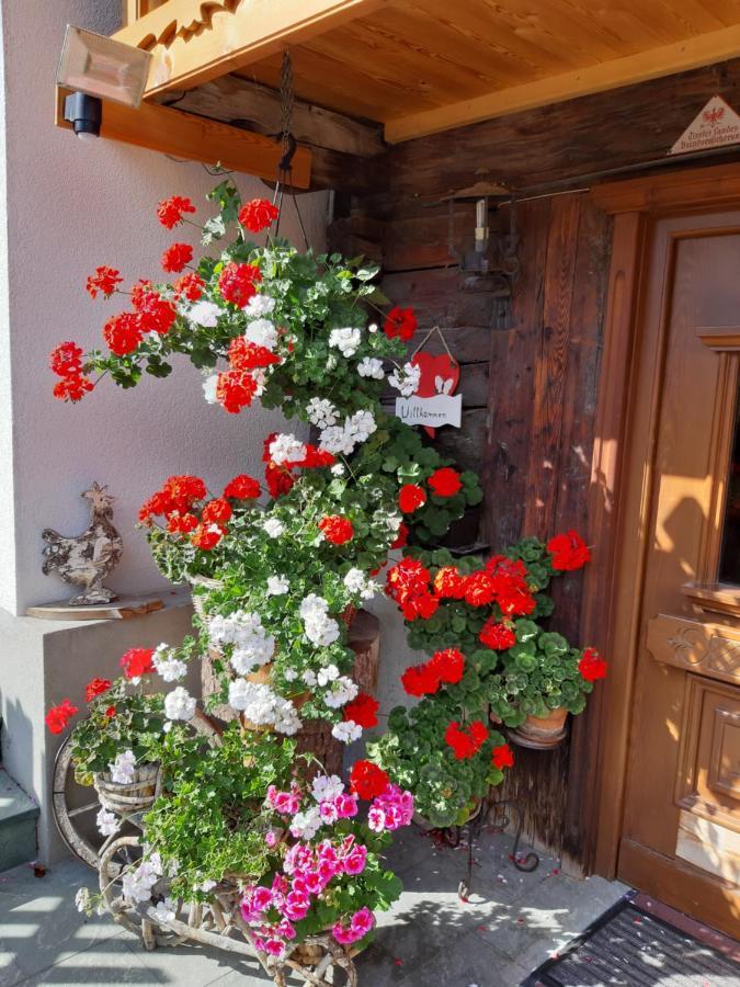 Ferienhaus Grofn Matrei in Osttirol Kültér fotó